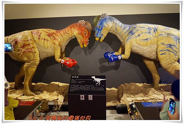 cats17.jpg cats17.jpg