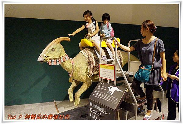 cats18.jpg cats18.jpg