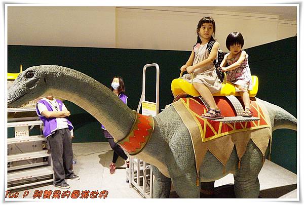 cats19.jpg cats19.jpg