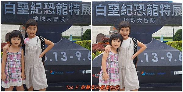 cats20.jpg cats20.jpg