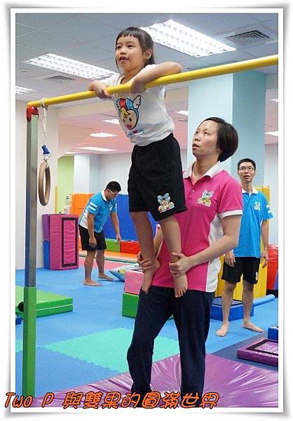 cats11.jpg cats11.jpg