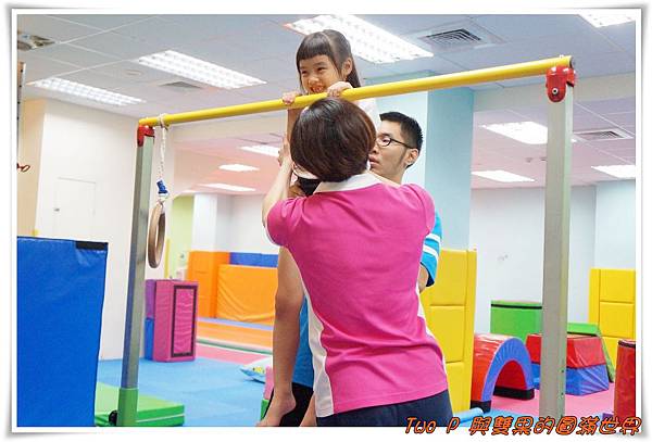 cats12.jpg cats12.jpg