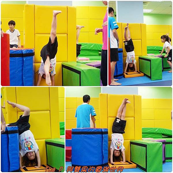 cats13.jpg cats13.jpg