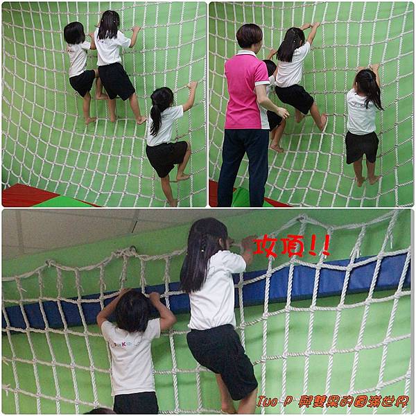 cats16.jpg cats16.jpg