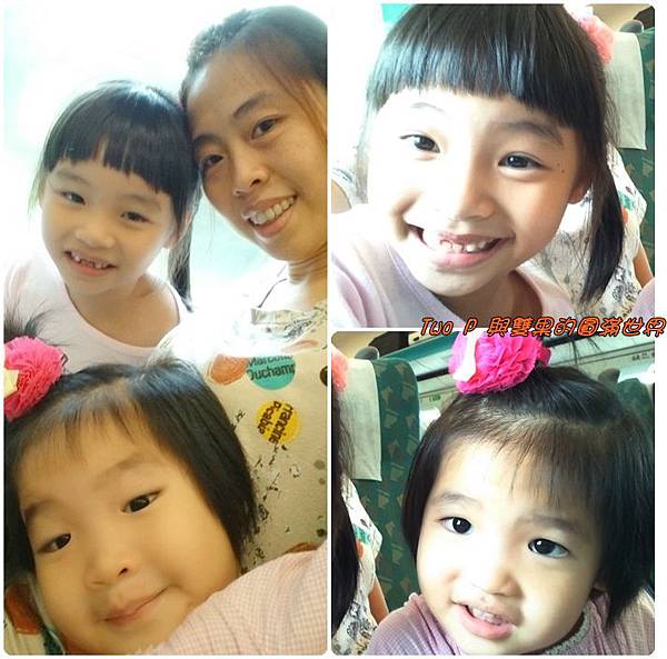 cats8-1.jpg cats8-1.jpg