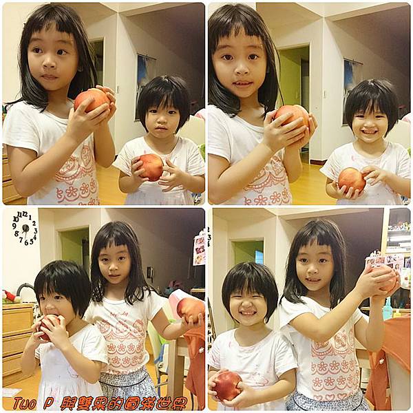 cats10.jpg cats10.jpg