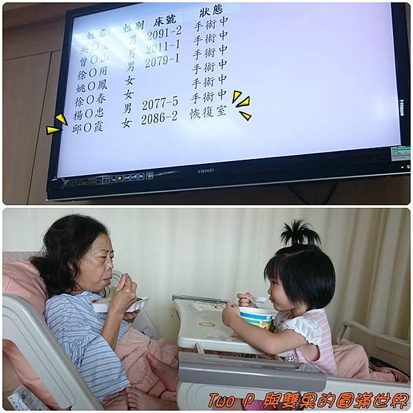 cats11.jpg cats11.jpg