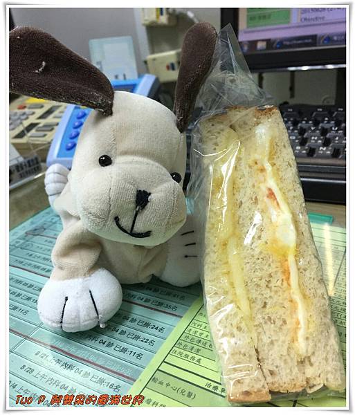 cats13.jpg cats13.jpg