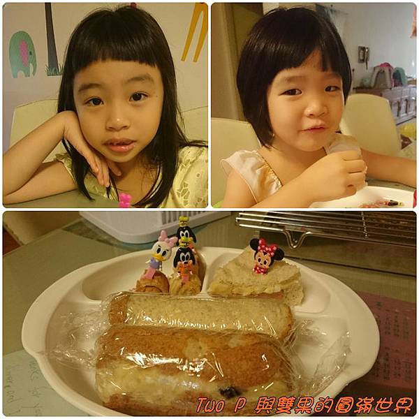 cats14(0805).jpg cats14(0805).jpg