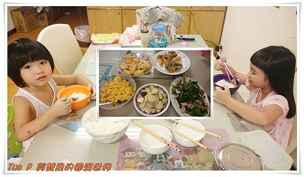 cats19.JPG cats19.JPG