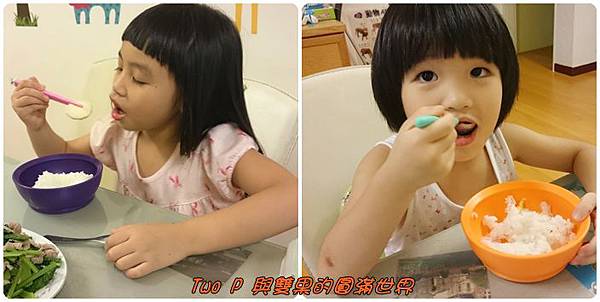 cats20.jpg cats20.jpg