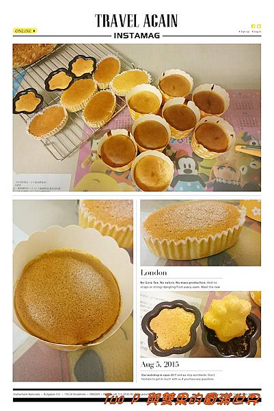 cats21.jpg cats21.jpg