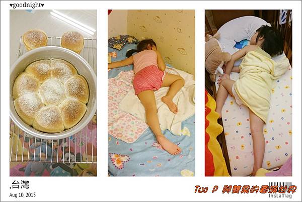 cats22.jpg cats22.jpg