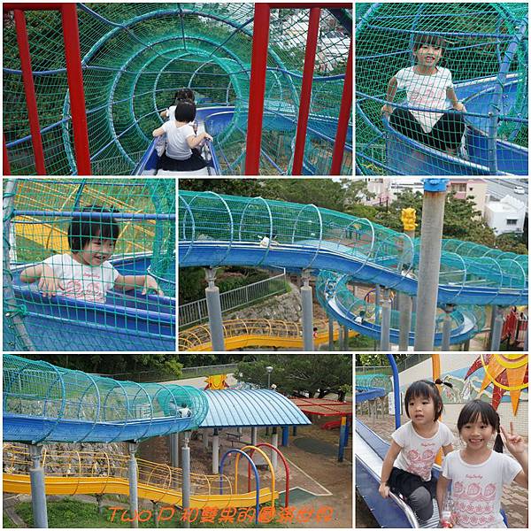 cats11.jpg cats11.jpg