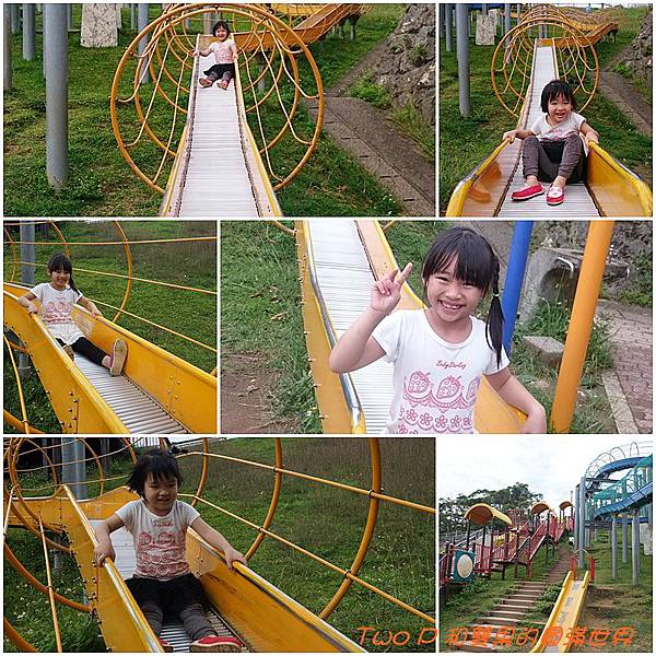 cats12.jpg cats12.jpg