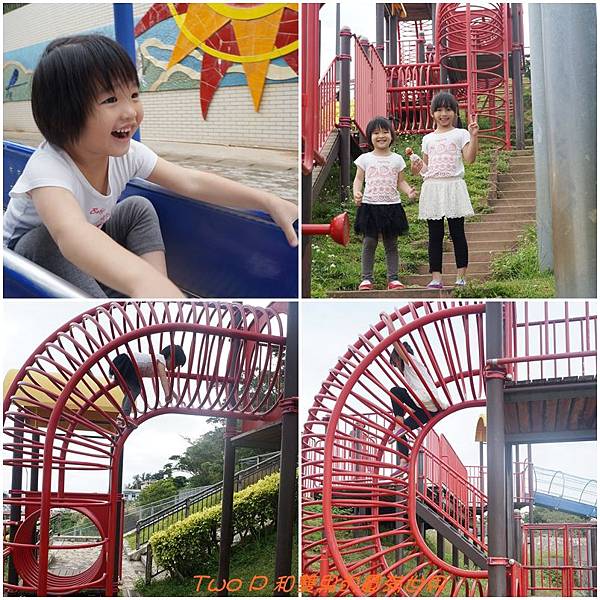 cats13.jpg cats13.jpg