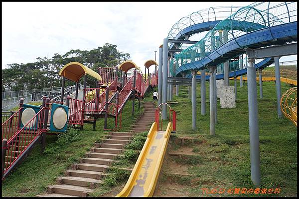 cats14.JPG cats14.JPG