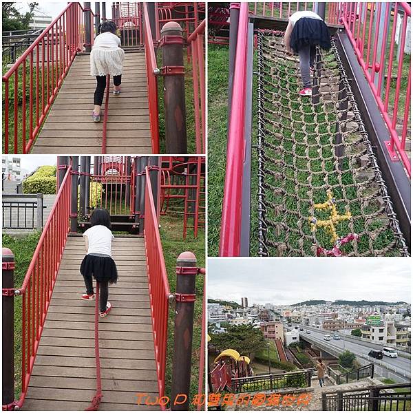 cats15.jpg cats15.jpg