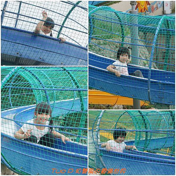 cats16.jpg cats16.jpg