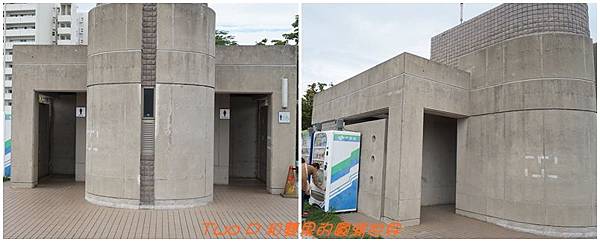 cats17.jpg cats17.jpg