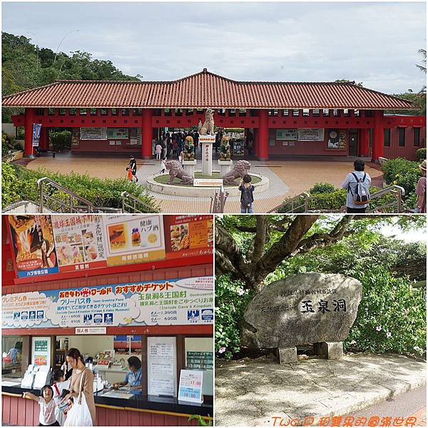 cats20.jpg cats20.jpg