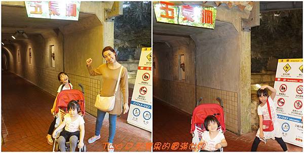 cats22.jpg cats22.jpg