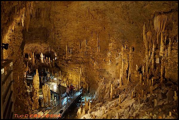 cats23.JPG cats23.JPG