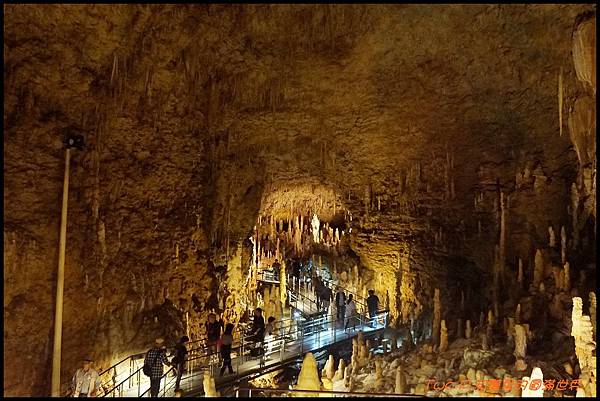 cats23-1.JPG cats23-1.JPG