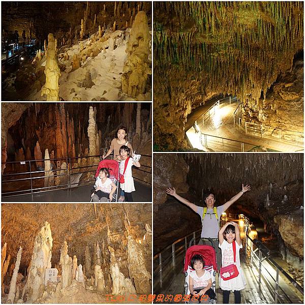 cats23-2.jpg cats23-2.jpg