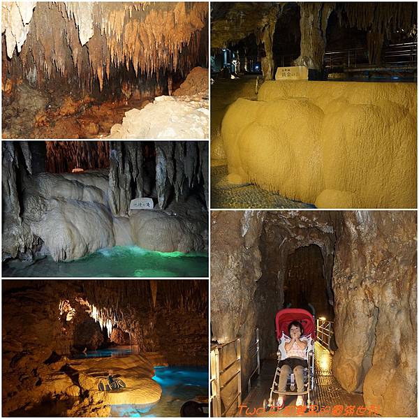 cats23-3.jpg cats23-3.jpg