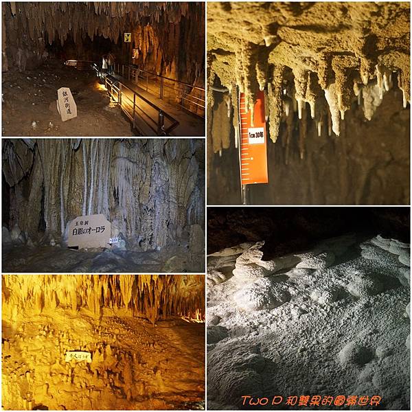 cats23-4.jpg cats23-4.jpg