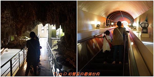 cats23-5.jpg cats23-5.jpg