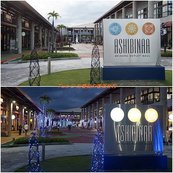 cats24.jpg cats24.jpg