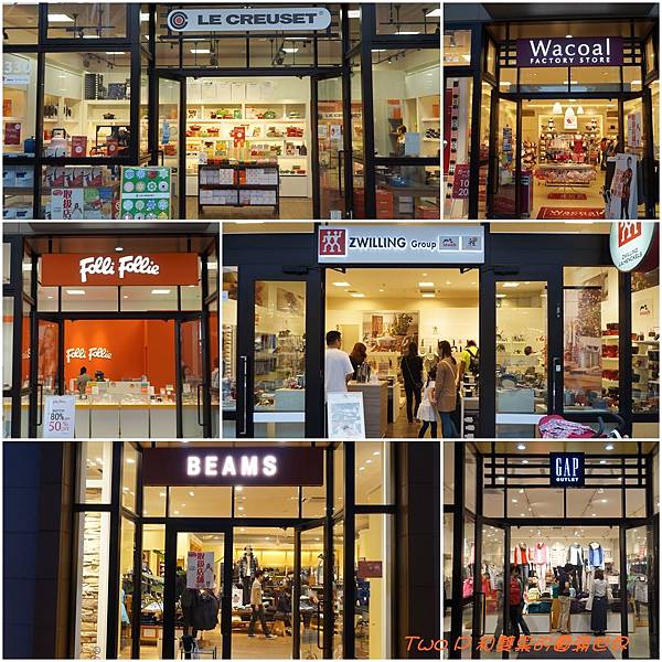 cats25.jpg cats25.jpg