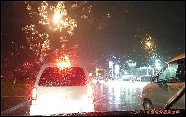 cats27.JPG cats27.JPG