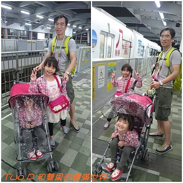 cats29.jpg cats29.jpg