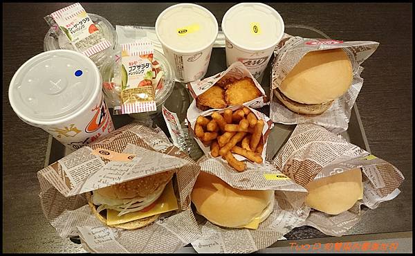 cats29-1.JPG cats29-1.JPG