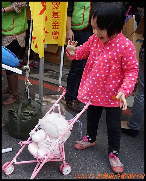 cats12.jpg cats12.jpg