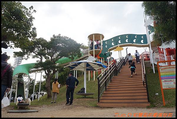 cats20.JPG cats20.JPG