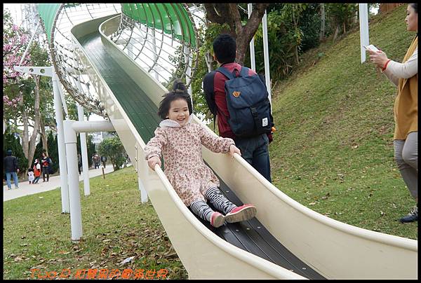 cats20-1.JPG cats20-1.JPG