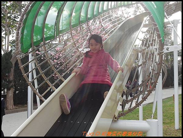 cats20-2.jpg cats20-2.jpg