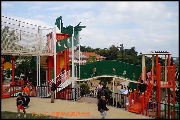 cats21-0.JPG cats21-0.JPG