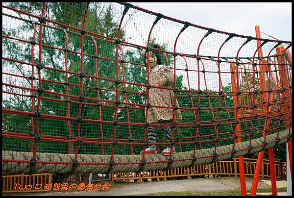 cats23-1.JPG cats23-1.JPG