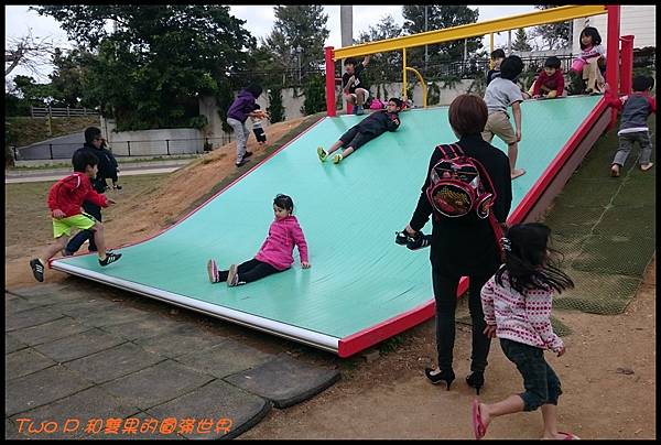 cats24.JPG cats24.JPG