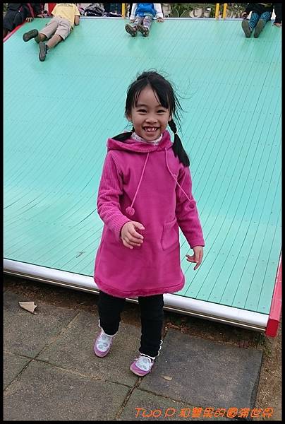 cats24-1.JPG cats24-1.JPG