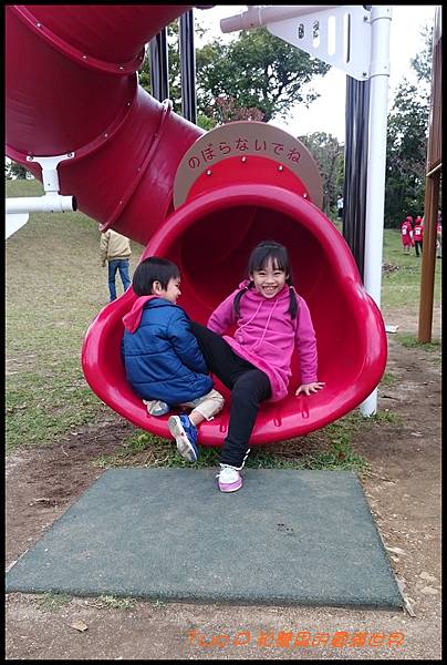 cats25.JPG cats25.JPG