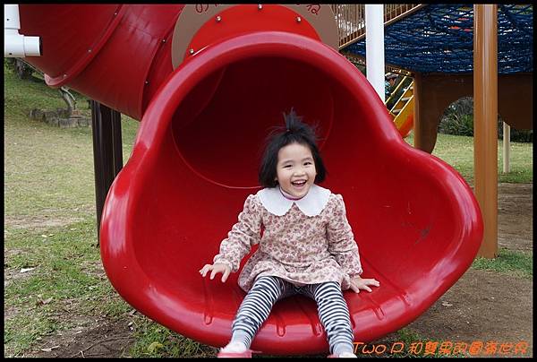 cats26.JPG cats26.JPG