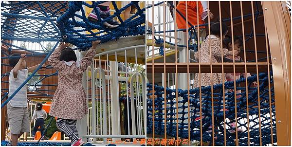 cats27.jpg cats27.jpg