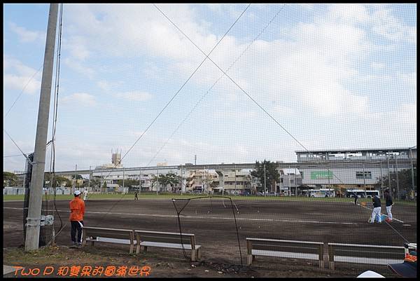 cats28-1.JPG cats28-1.JPG