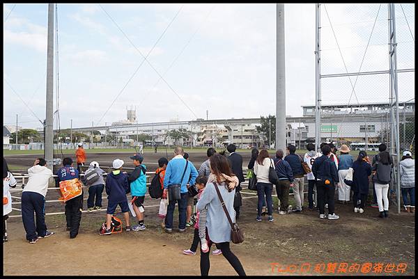 cats28-11.JPG cats28-11.JPG